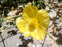 Photo 062